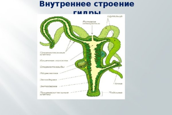 Даркнет официальный сайт вход