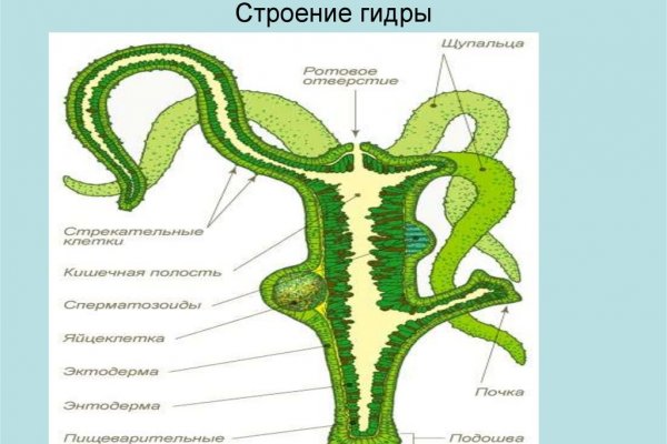 Кракен даркнет зеркало