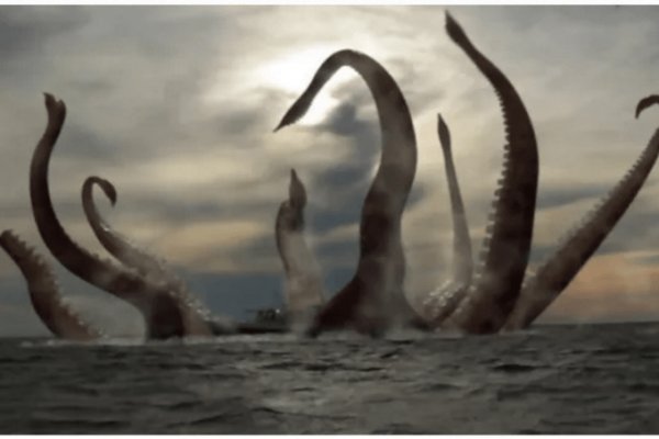 Как найти kraken