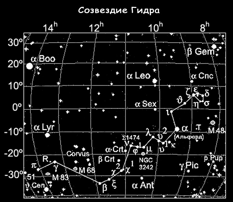 Что продает кракен